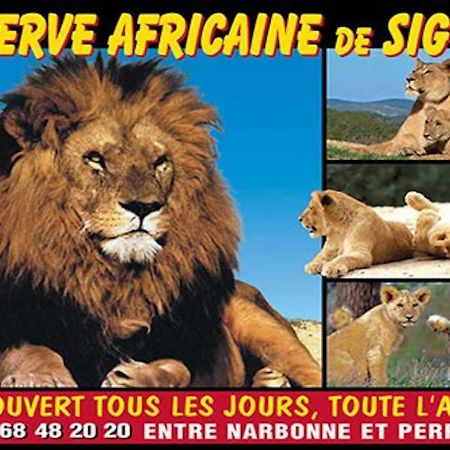 Agreable Maison De Famille Sur Gite Echarou Sigean Bagian luar foto