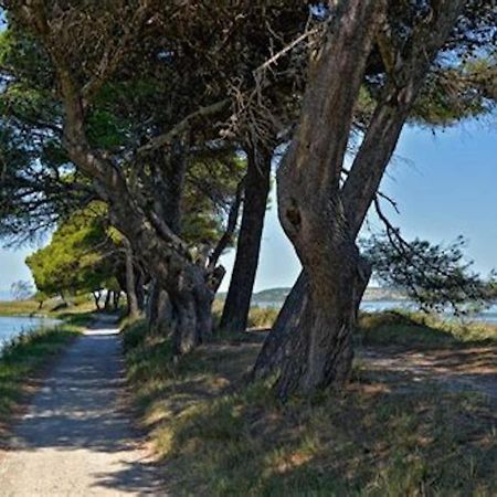 Agreable Maison De Famille Sur Gite Echarou Sigean Bagian luar foto