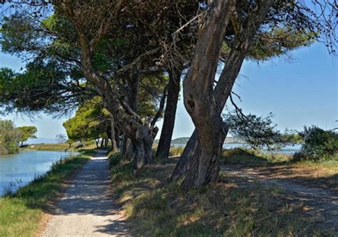 Agreable Maison De Famille Sur Gite Echarou Sigean Bagian luar foto